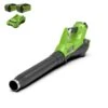 Greenworks Accu Bladblazer 40V Met 2x 2.0Ah Accu En Lader