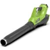 Greenworks Accu Bladblazer 40V Basis