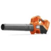 Husqvarna Accu Bladblazer 120iB Basic