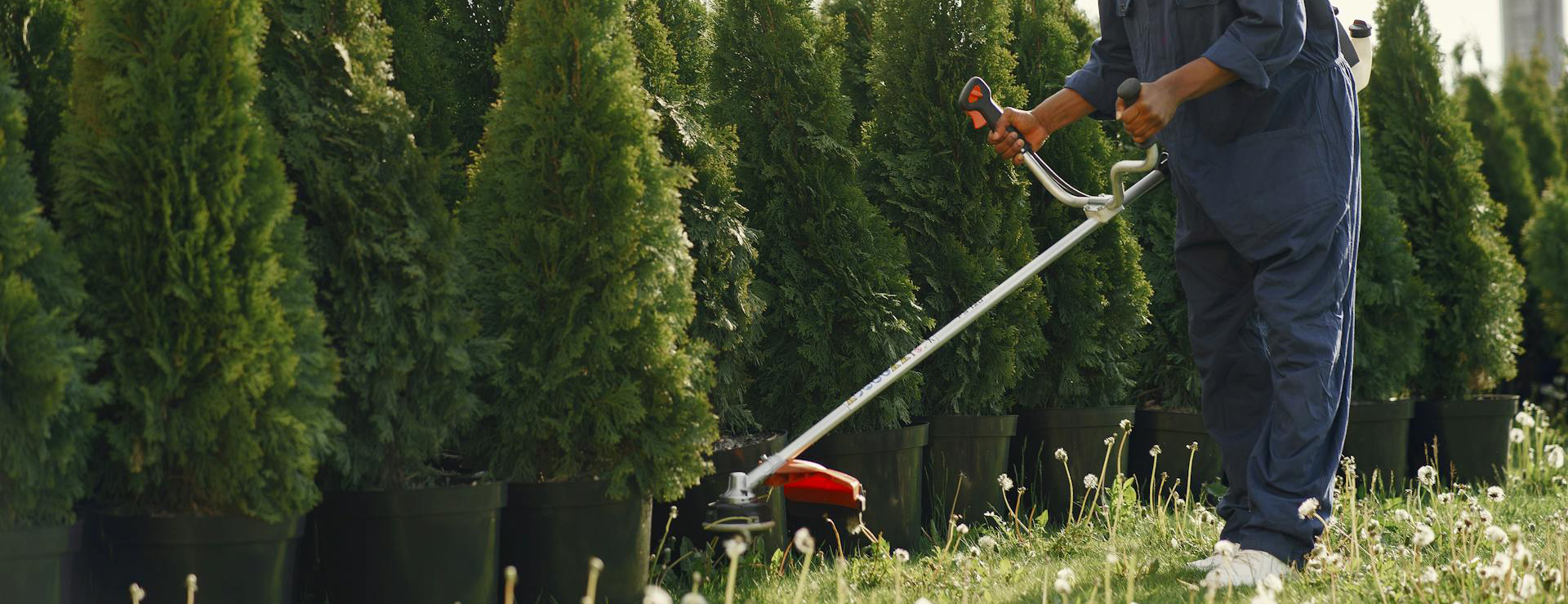 Tuingereedschap -Tuingereedschap pexels gustavo fring 4920293