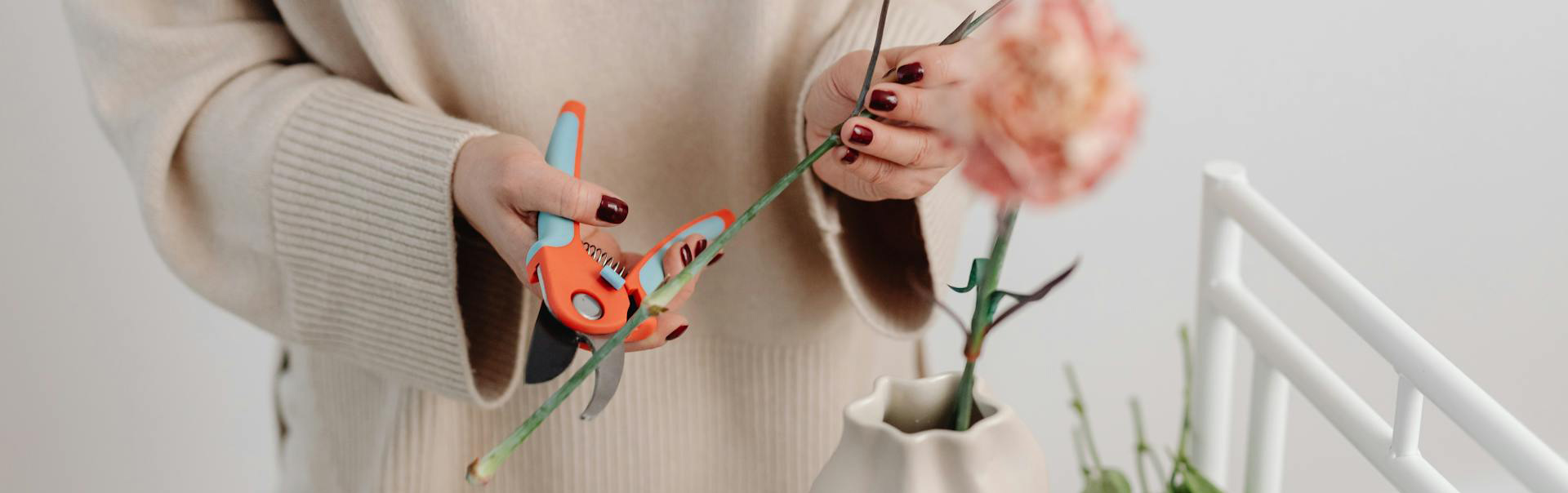 Tuingereedschap -Tuingereedschap pexels karola g 6641382